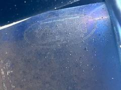 �ڳ��ܲ��ޥե顼�ۥɥ饤�֤��ꤪ�ڤ���ĺ���ޤ��� 6