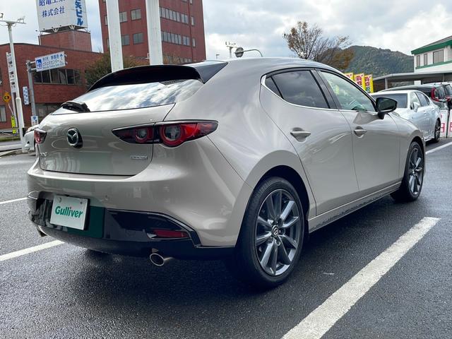 MAZDA3ファストバック 20S レトロスポーツエディション 純正メーカーナビ 全周囲カメラ Bluetoothオーディオ フルセグ USB接続 レーダークルーズ ブラインドスポットモニター ステアリングヒーター シートヒーター コーナーセンサー ドラレコ(51枚目)
