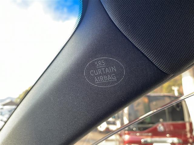 ハリアー プレミアム モデリスタエアロ アルパイン10インチナビ Bluetoothオーディオ DVD再生 フルセグ バックカメラ プリクラッシュセーフティ レーダークルーズ 電動リアゲート ビルトインETC 禁煙車(42枚目)