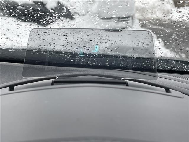 ���x���[���ł́A�ʏ�̃I�[�g���[���i�Œ��P�Q�O�񕥂��j�̑��ɂ��u����ۏ،^�v�����v��u�c���ݒ�v�����v�ȂǁA�l�X�Ȃ��x���v���������p�ӂ��Ă���܂��B