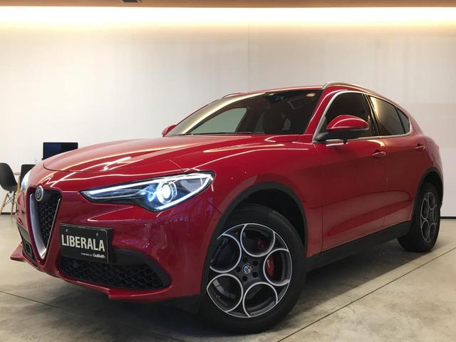 2.0ターボ Q4スポーツパッケージ AppleCarPlay/AndroidAuto harman/kardon 純正ディスプレイオーディオ フルセグTV レザーシート シートヒーター ステアリングヒーター ドライブレコーダー ACC(37枚目)