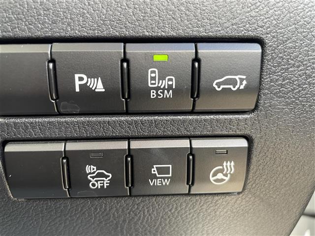 NX NX300h 純正ナビフルセグTV全周囲カメラブラインドスポットモニタードライブレコーダーETC2.0LEDヘッドライトオートライトフォグランプクルーズコントロール革巻きステアリングステアリングスイッチ(19枚目)