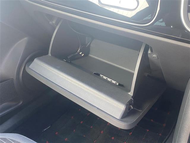 ザ・ビートル ターボ サンルーフ純正ナビFM/AM/CD/DVD/SD/BT/VTR/MusicCatcherDTVバックカメラパッシブセーフティクルーズコントロールコーナーセンサードライブレコーダー(前方)(29枚目)