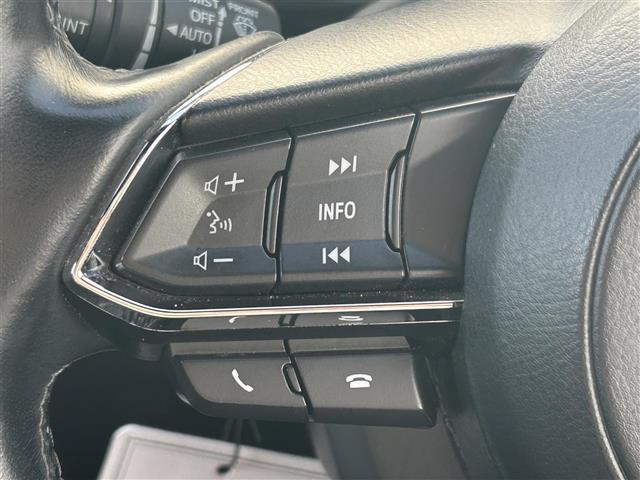 ＣＸ－８ ＸＤ　Ｌパッケージ　レザーエアシート　ＢＯＳＥ　フリップダウンモニター　純正ナビ　フルセグ　ＤＶＤ再生　ＢＴ　３６０°カメラ　ＡＣＣ　ＬＫＡＳ　メモリーパワーシート　パワーバックドア　前後ドラレコ　ＥＴＣ　純正１９ＡＷ（15枚目）