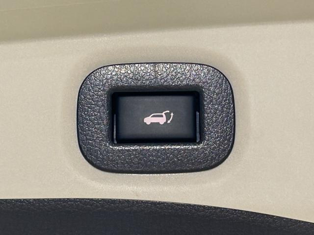 エクストレイル ２０Ｘｉ　ＰＲＯＰＩＬＯＴ　黒革シート　純正９ｉｎｃナビＴＶ　３６０カメラ　　パワーバックドア　デジタルインナーミラー　レーダーＣ　衝突軽減Ｂ　レーンアシスト　ルーフレール　クリアランスソナー　ドラレコ　ＥＴＣ（44枚目）