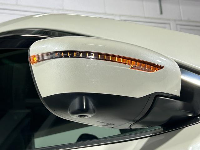 エクストレイル ２０Ｘｉ　ＰＲＯＰＩＬＯＴ　黒革シート　純正９ｉｎｃナビＴＶ　３６０カメラ　　パワーバックドア　デジタルインナーミラー　レーダーＣ　衝突軽減Ｂ　レーンアシスト　ルーフレール　クリアランスソナー　ドラレコ　ＥＴＣ（49枚目）