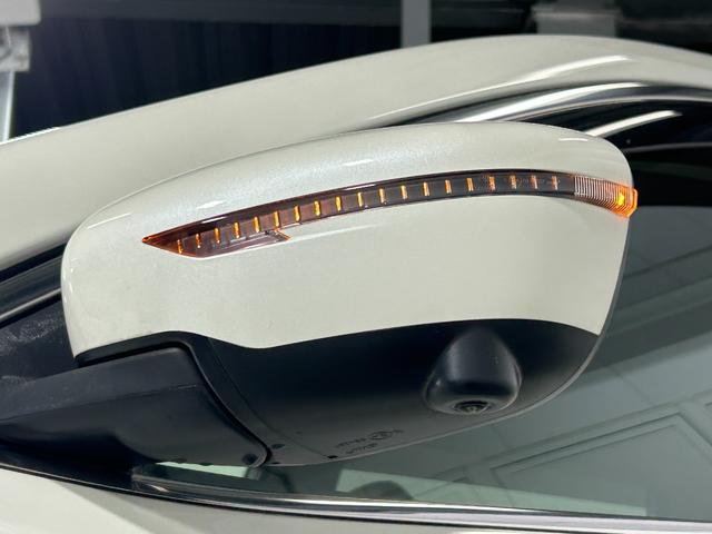 エクストレイル ２０Ｘｉ　ＰＲＯＰＩＬＯＴ　黒革シート　純正９ｉｎｃナビＴＶ　３６０カメラ　　パワーバックドア　デジタルインナーミラー　レーダーＣ　衝突軽減Ｂ　レーンアシスト　ルーフレール　クリアランスソナー　ドラレコ　ＥＴＣ（50枚目）