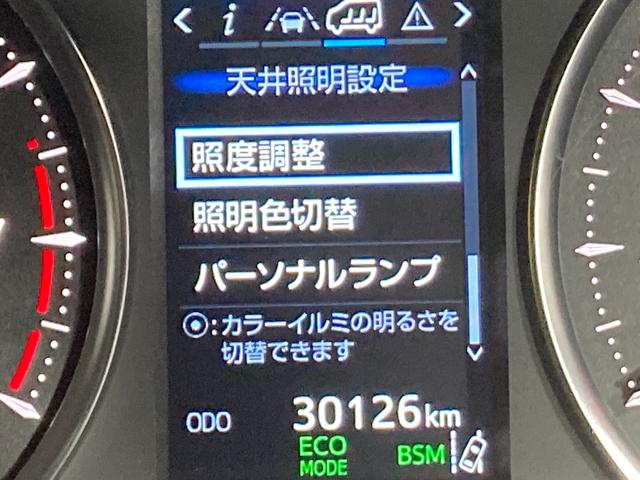 アルファード ２．５Ｓ　Ｃパッケージ　サンルーフ　黒革シート　デジタルミラー　ＡＬＰＩＮＥナビＴＶ　フリップダウンモニター　レーダーＣ　衝突軽減Ｂ　ブラインドＳＭ　レーンアシスト　３眼ＬＥＤ　シーケンシャルウインカー　パワーバックドア（58枚目）