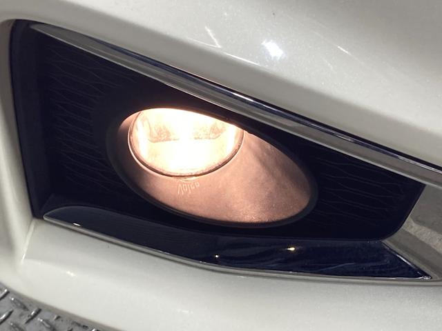 エルグランド ２５０ハイウェイスターＳ　純正ナビ（ＤＶＤ再生／Ｂｌｕｅｔｏｏｔｈ／フルセグ）　後席モニター　Ｂカメラ　両側電動ドア　ＥＴＣ　ドラレコ　ＬＥＤヘッドライト　プッシュスタート　クルコン　スマートキー　ハーフレザー　ＲオートＡ／Ｃ（58枚目）