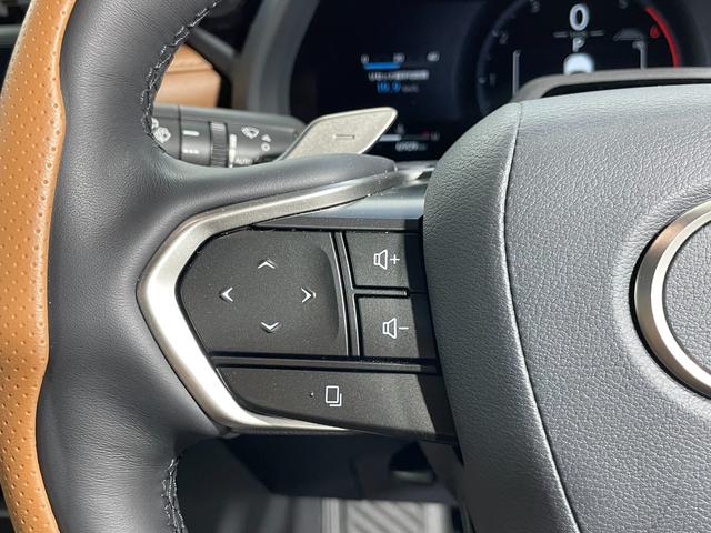 LBX リラックス サドルタンレザー レクサスチームメイトアドバンスドドライブ/パーク ヘッドアップディスプレイ 360カメラ 衝突軽減B レーダーC BSM 電動リアゲート シートヒーター メモリシート フルセグTV(47枚目)