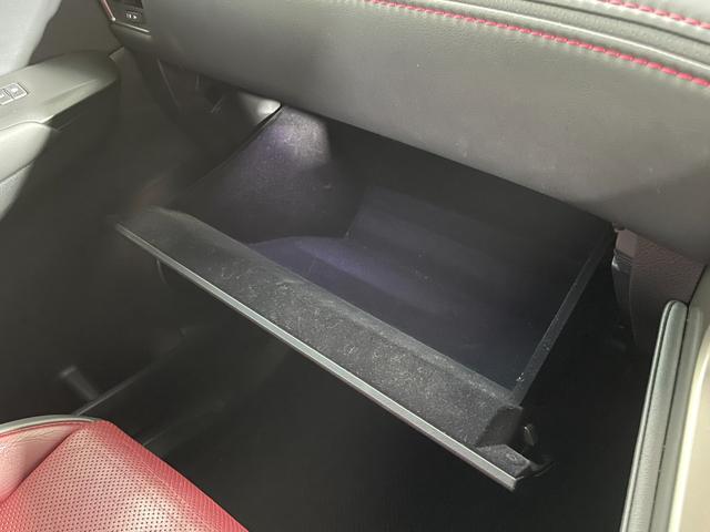 ＮＸ ＮＸ２００ｔ　Ｆスポーツ　赤革シート　三眼ＬＥＤ　純正ナビＴＶ　バックカメラ　パワーシート／ヒーター／エアコン　ステアリングヒーター　クルーズコントロール　スマートキー　プッシュスタート　ワンオーナー（23枚目）