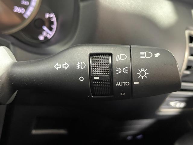 ＮＸ ＮＸ２００ｔ　Ｆスポーツ　赤革シート　三眼ＬＥＤ　純正ナビＴＶ　バックカメラ　パワーシート／ヒーター／エアコン　ステアリングヒーター　クルーズコントロール　スマートキー　プッシュスタート　ワンオーナー（30枚目）