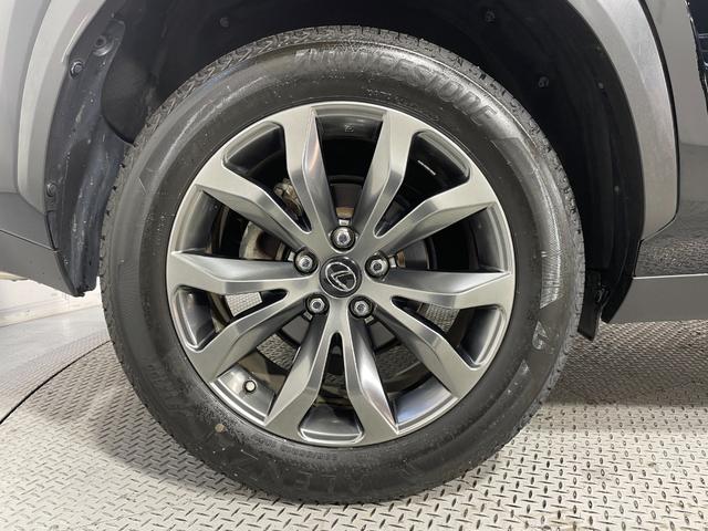 ＮＸ ＮＸ２００ｔ　Ｆスポーツ　赤革シート　三眼ＬＥＤ　純正ナビＴＶ　バックカメラ　パワーシート／ヒーター／エアコン　ステアリングヒーター　クルーズコントロール　スマートキー　プッシュスタート　ワンオーナー（56枚目）