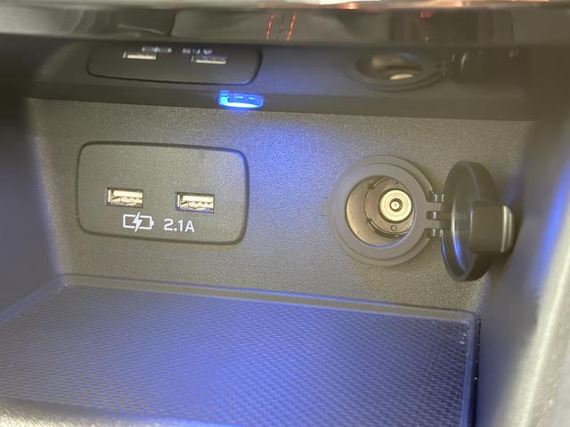 フォレスター X-ブレイク 純正ナビTV F/S/Rカメラ デジタイルインナーミラー Bluetooth レーダークルーズ 衝突軽減B レーンアシスト ブラインドSM 電動リアゲート パワーシート /ヒーター ドラレコ ETC(51枚目)