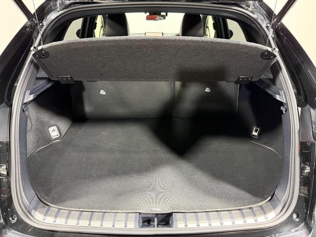 NX NX300 Fスポーツ TRDエアロ/マフラー 赤革シート 3眼LED 純正ナビTV レーダークルーズ 衝突軽減B レーンアシスト パワーバックドア パワーシート/ヒーター/エアシート ステアリングヒーター ETC(15枚目)