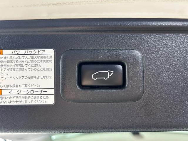 ヴェルファイアハイブリッド ＺＲ　Ｇエディション　ＴＲＤエアロ　サンルーフ　黒革シート　純正ナビＴＶ　デジタルインナーミラー　フリップダウンモニター　ＣＤ／ＤＶＤプレイヤー　３眼ＬＥＤ　レーダーＣ　ＰＣＳ　ＬＫＡ　ＢＳＭ　パワーバックドア（29枚目）