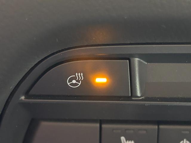 ＣＸ－８ ＸＤ　Ｌパッケージ　赤革シート　ＢＯＳＥサウンド　純正１０．２５ｉｎｃナビＴＶ　３６０カメラ　後席モニター　パワーシート／ヒーター／エアコン　電動リアゲート　ヘッドアップＤ　レーダーＣ　衝突軽減Ｂ　レーンアシスト（41枚目）