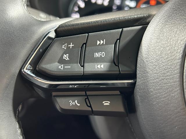 ＣＸ－８ ＸＤ　Ｌパッケージ　赤革シート　ＢＯＳＥサウンド　純正１０．２５ｉｎｃナビＴＶ　３６０カメラ　後席モニター　パワーシート／ヒーター／エアコン　電動リアゲート　ヘッドアップＤ　レーダーＣ　衝突軽減Ｂ　レーンアシスト（44枚目）