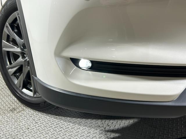 ＣＸ－８ ＸＤ　Ｌパッケージ　赤革シート　ＢＯＳＥサウンド　純正１０．２５ｉｎｃナビＴＶ　３６０カメラ　後席モニター　パワーシート／ヒーター／エアコン　電動リアゲート　ヘッドアップＤ　レーダーＣ　衝突軽減Ｂ　レーンアシスト（57枚目）
