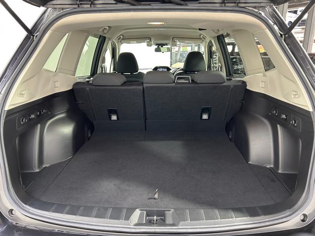 フォレスター アドバンス　純正ＤＩＡＴＯＮＥナビＴＶ　バック／サイドカメラ　レーダークルコン　衝突軽減ブレーキ　レーンアシスト　ブラインドＳＭ　パワーシート／ヒーター　ステアリングヒーター　ＬＥＤライト　クリアランスソナー（16枚目）