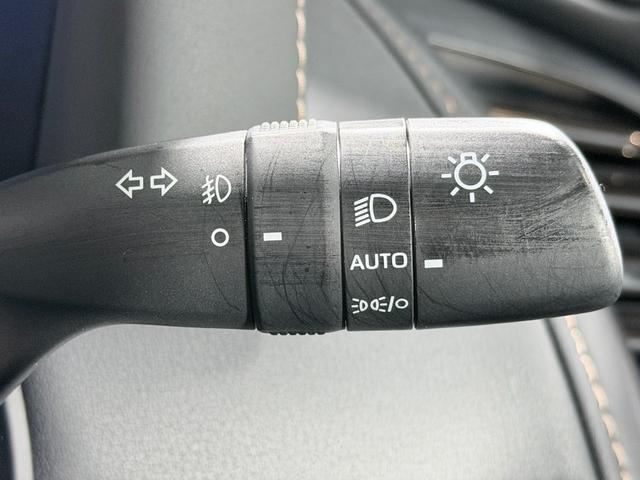 アルファードハイブリッド Ｚ　左右独立ムーンルーフ　黒革シート　ユニバーサルステップ　１４ｉｎｃナビＴＶ　３６０カメラ　後席モニター　デジタルインナーミラー　パワーシート／ヒーター／エアコン　電動リアゲート　レーダーＣ　衝突軽減Ｂ（26枚目）