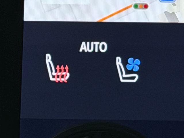 アルファードハイブリッド Ｚ　左右独立ムーンルーフ　黒革シート　ユニバーサルステップ　１４ｉｎｃナビＴＶ　３６０カメラ　後席モニター　デジタルインナーミラー　パワーシート／ヒーター／エアコン　電動リアゲート　レーダーＣ　衝突軽減Ｂ（42枚目）