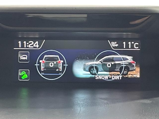 フォレスター アドバンス　純正ＤＩＡＴＯＮＥナビＴＶ　Ｂ／Ｓ／Ｆカメラ　デジタルインナーミラー　ハーフレザー　パワーシート／ヒーター　電動リアゲート　レーダークルコン　衝突軽減Ｂ　レーンアシスト　ＢＳＭ　ドライブレコーダー（28枚目）