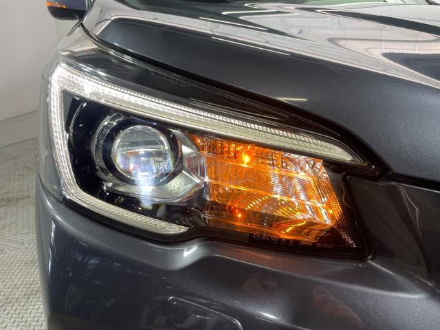 フォレスター アドバンス　純正ＤＩＡＴＯＮＥナビＴＶ　Ｂ／Ｓ／Ｆカメラ　デジタルインナーミラー　ハーフレザー　パワーシート／ヒーター　電動リアゲート　レーダークルコン　衝突軽減Ｂ　レーンアシスト　ＢＳＭ　ドライブレコーダー（54枚目）