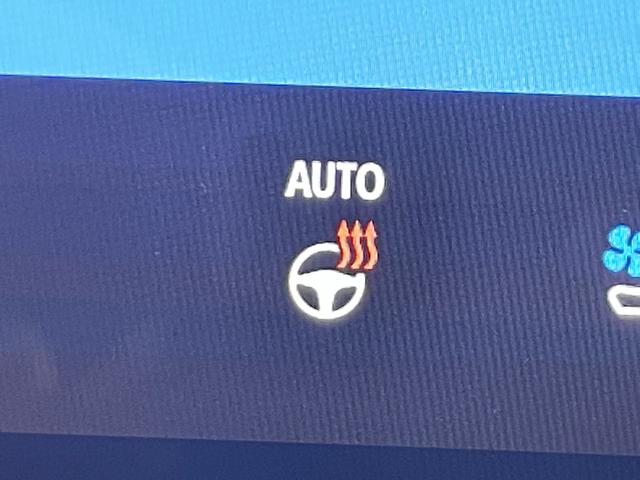 アルファード Ｚ　トヨタチームメイト　アドバンスドパーク　左右独立ムーンルーフ　黒革　モデリスタ　１４ｉｎｃナビＴＶ　３６０カメラ　後席モニター　デジタルインナーミラー　パワーシート／ヒーター／エアコン　電動リアゲート（37枚目）