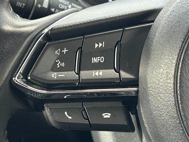 ＣＸ－８ ＸＤ　純正ナビ　Ｂカメラ　フルセグＴＶ／ＤＶＤ／ＣＤ／Ｂｌｕｔｅｔｏｏｔｈ　クルーズコントロール　衝突軽減Ｂレーンアシスト　ブラインドＳＭ　クリアランスソナー　ＬＥＤライト　スマートキー　ドラレコ（34枚目）