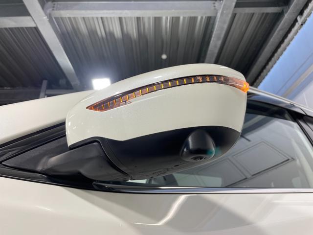 エクストレイル 20Xi ProPILOT 黒革シート 純正ナビTV 360カメラ デジタルインナーミラー シートヒーター レーダークルーズ 衝突軽減Bレーンアシスト ルーフレール アイドリングストップ ETC ドラレコ(65枚目)