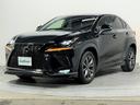 NX300 Fスポーツ TRDエアロ/マフラー 赤革シート 3眼LED 純正ナビTV レーダークルーズ 衝突軽減B レーンアシスト パワーバックドア パワーシート/ヒーター/エアシート ステアリングヒーター ETC(19枚目)