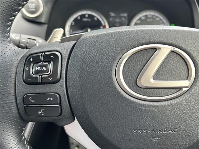 ＮＸ３００　Ｆスポーツ　Ｌｅｘｕｓ　Ｓａｆｅｔｙ　Ｓｙｓｔｅｍ＋　純正ＳＤナビ　フルセグＴＶ　全方位モニター　ビルトインＥＴＣ２．０　電動リアゲート　本革シート　シートベンチレーション　パドルシフト　ステアリングヒーター(9枚目)