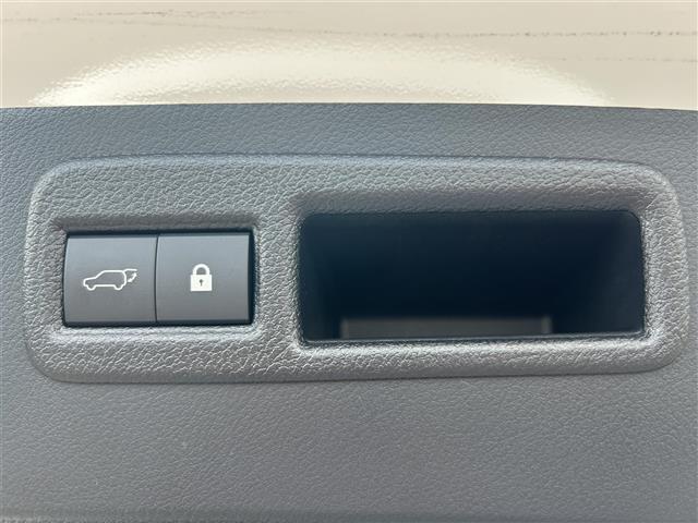 ＮＸ ＮＸ３００　Ｆスポーツ　Ｌｅｘｕｓ　Ｓａｆｅｔｙ　Ｓｙｓｔｅｍ＋　純正ＳＤナビ　フルセグＴＶ　全方位モニター　ビルトインＥＴＣ２．０　電動リアゲート　本革シート　シートベンチレーション　パドルシフト　ステアリングヒーター（23枚目）