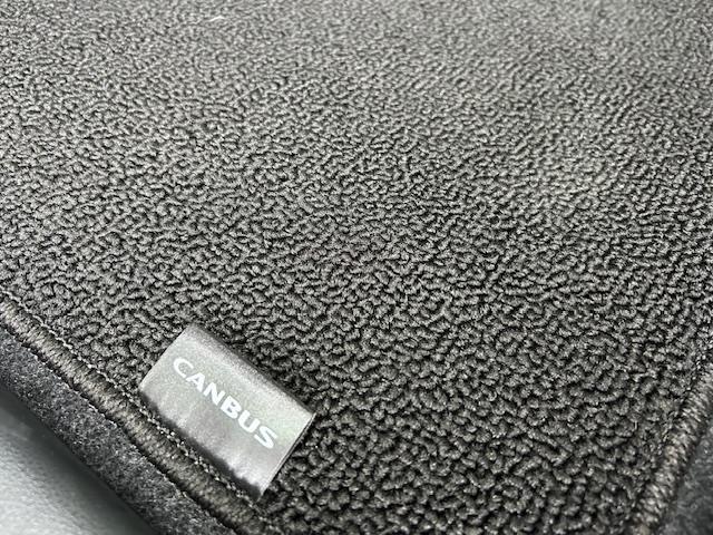 ムーヴキャンバス ストライプスG スマートアシスト 社外ナビ フルセグTV DVD Bluetooth バックカメラ 両側パワースライドドア シートヒーター 保温機能付カップホルダー コーナーセンサー LEDライト 純正フロアマット(22枚目)