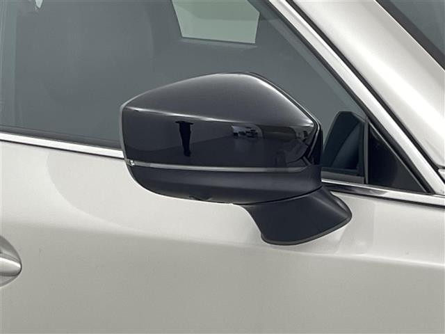 ＣＸ－８ ＸＤ　ブラックトーンエディション　純正ナビ（ＡｐｐｌＣａｒＰｌａｙ・ＡｎｄｒｏｉｄＡｕｔｏ・ＢＴ・フルセグ・ＵＳＢ）全周囲カメラ　社外前後ドライブレコーダー　ＥＴＣ　レーダークルーズコントロール　前後クリアランスソナー　シートヒーター（36枚目）