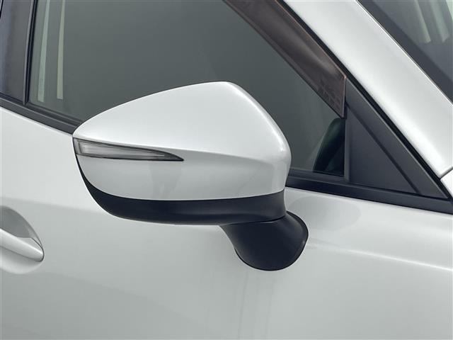 ＣＸ－３ ＸＤ　ツーリング　ワンオーナー　純正ナビ（ＣＤ・ＤＶＤ・フルセグ・ＢＴ・ＳＤ・ＵＳＢ）バックカメラ　ＥＴＣ　クルーズコントロール　衝突軽減ブレーキ　レーンキープアシスト　アイドリングストップ　横滑り防止（35枚目）