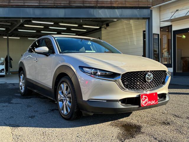 CX-30 XD プロアクティブ ツーリングセレクション 4WD ドライブレコーダー ETC 全周囲カメラ クリアランスソナー オートクルーズコントロール レーンアシスト パワーシート 衝突被害軽減システム ナビ オートマチックハイビーム オートライト(13枚目)