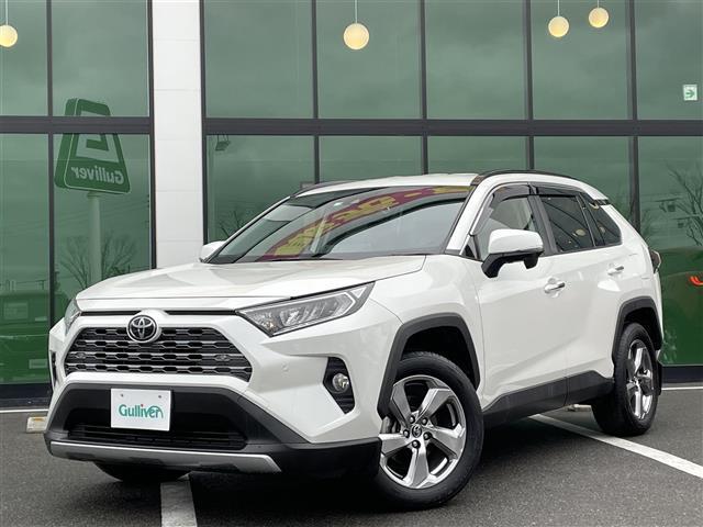 ＲＡＶ４ Ｇ　純正９インチＳＤナビ（フルセグ　ＣＤ　ＤＶＤ　ＢＴ　ＭＳＶ）シートヒーター　レーダースルーズコントロール　プリクラッシュセーフティー　レーンキープ　ＢＳＭ　パワーバックドア　Ｃソナー（35枚目）