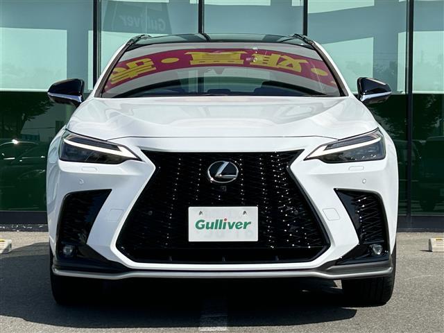 ＮＸ ＮＸ３５０　Ｆスポーツ　純正１４インチコネクティッドナビ　パノラマサンルーフ　オレンジキャリパー　ルーフレール　フルセグＴＶ　Ｂｌｕｅｔｏｏｔｈ　パノラミックビューモニター　レクサスセーフティセンス　ＢＳＭ　ＨＵＤ（17枚目）