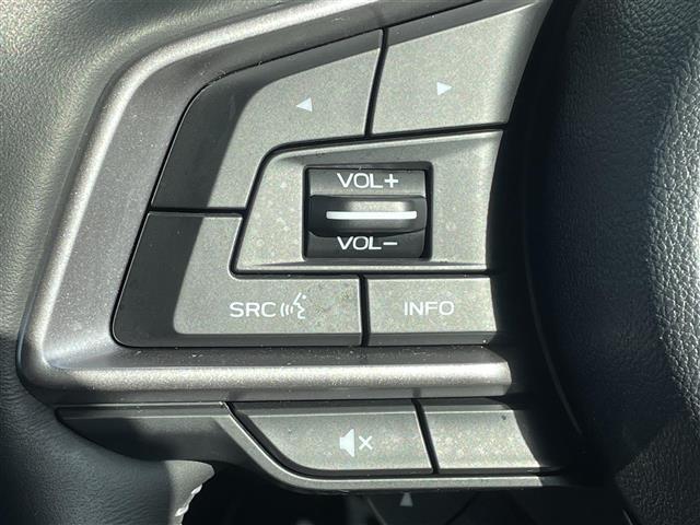 フォレスター アドバンス　純正ナビ　１オナ　デジミラ　温席　ドラレコ　Ｂカメ　フルセグＴＶ　ＴＶキャンセラー　横滑り防止　ＢＳＭ　レーンキープアシスト　衝突軽減　パワーシート　パワーバックドア　ステアリングヒーター　純正マット（9枚目）