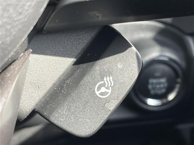 フォレスター アドバンス　純正ナビ　１オナ　デジミラ　温席　ドラレコ　Ｂカメ　フルセグＴＶ　ＴＶキャンセラー　横滑り防止　ＢＳＭ　レーンキープアシスト　衝突軽減　パワーシート　パワーバックドア　ステアリングヒーター　純正マット（11枚目）