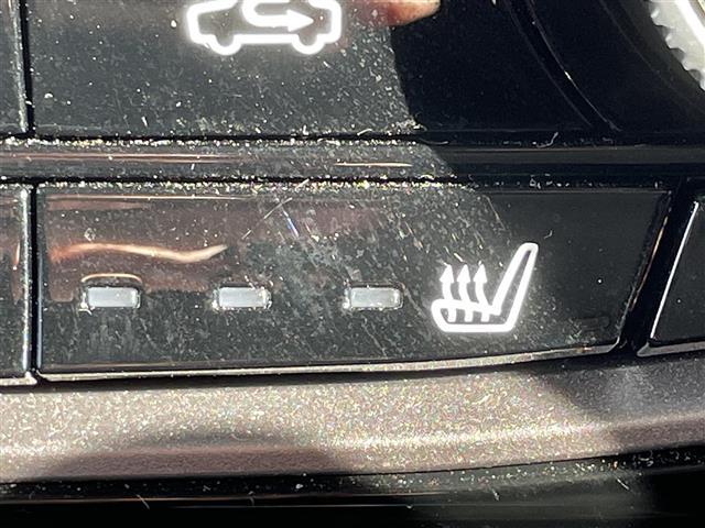 フォレスター アドバンス　純正ナビ　１オナ　デジミラ　温席　ドラレコ　Ｂカメ　フルセグＴＶ　ＴＶキャンセラー　横滑り防止　ＢＳＭ　レーンキープアシスト　衝突軽減　パワーシート　パワーバックドア　ステアリングヒーター　純正マット（31枚目）