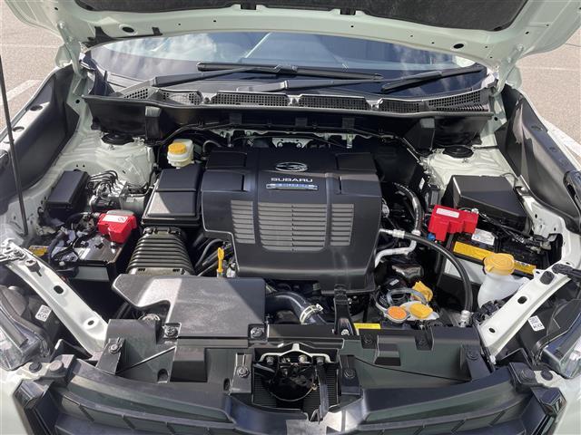 フォレスター アドバンス　純正ナビ　１オナ　デジミラ　温席　ドラレコ　Ｂカメ　フルセグＴＶ　ＴＶキャンセラー　横滑り防止　ＢＳＭ　レーンキープアシスト　衝突軽減　パワーシート　パワーバックドア　ステアリングヒーター　純正マット（40枚目）