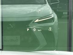 Ź�ޤˤƸ��֤γ�ǧ�⤤�������ޤ��Τǡ������äǺ߸ˤΤ���ǧ�ξ�������Ź���������ޤ������� 6