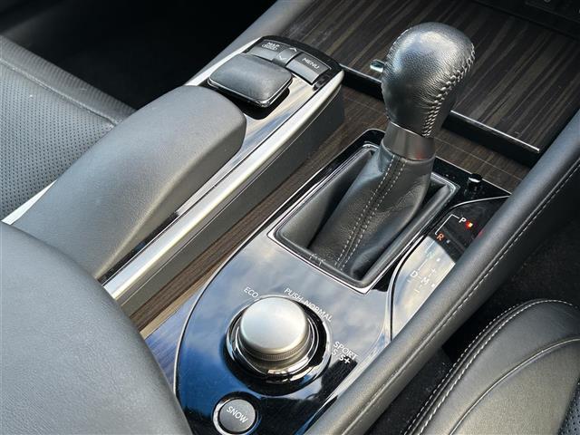 GS GS350 バージョンL クルコン/純正ヒ゛ルトインETC/Bカメラ/メーカー純ナヒ゛/横滑り防止/盗難防止/衝突軽減/ハ゜ーキンク゛アシスト/革シート/パワーシート/エアシート/シートヒーター/サンルーフ/ハ゜ト゛ルシフト(28枚目)