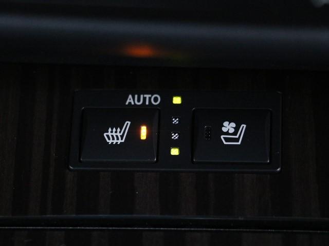 GS300h Iパッケージ(10枚目)