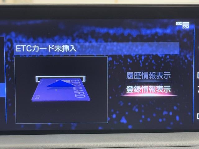 ＲＸ ＲＸ４５０ｈ　バージョンＬ　追従式クルーズコントロール　Ｂモニ　アルミ　地デジ　整備記録簿　オートエアコン　ナビ＆ＴＶ　ワンオーナ　ＬＥＤ　電動シート　キーレス　ミュージックプレイヤー接続可　フルタイム４ＷＤ　ＤＶＤ再生　ＥＴＣ（10枚目）
