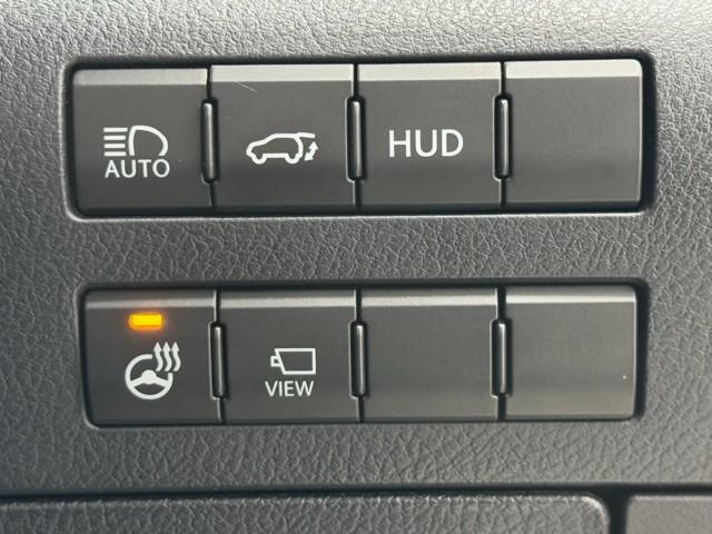 ＲＸ ＲＸ４５０ｈ　バージョンＬ　追従式クルーズコントロール　Ｂモニ　アルミ　地デジ　整備記録簿　オートエアコン　ナビ＆ＴＶ　ワンオーナ　ＬＥＤ　電動シート　キーレス　ミュージックプレイヤー接続可　フルタイム４ＷＤ　ＤＶＤ再生　ＥＴＣ（17枚目）