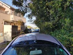 ���������Ǥ��� 7